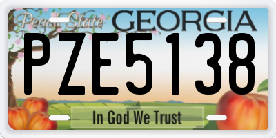 GA license plate PZE5138