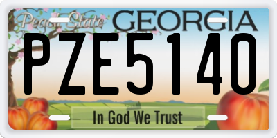 GA license plate PZE5140