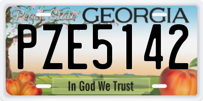 GA license plate PZE5142