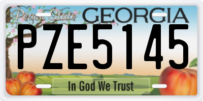 GA license plate PZE5145
