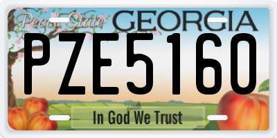 GA license plate PZE5160