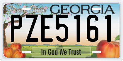 GA license plate PZE5161