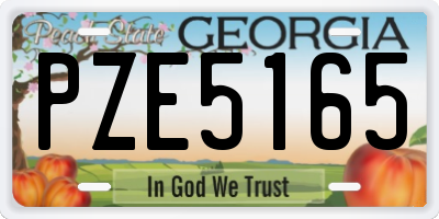 GA license plate PZE5165