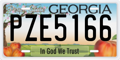 GA license plate PZE5166