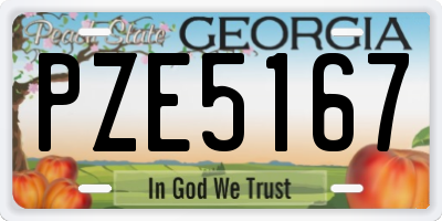 GA license plate PZE5167