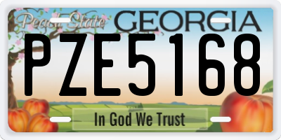 GA license plate PZE5168