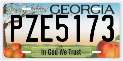 GA license plate PZE5173