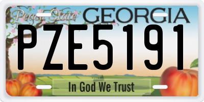 GA license plate PZE5191