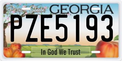 GA license plate PZE5193