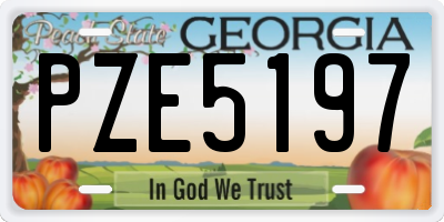 GA license plate PZE5197