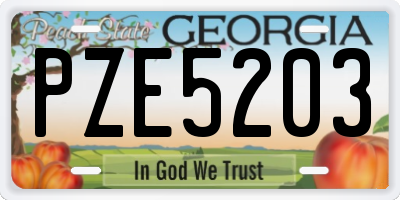 GA license plate PZE5203