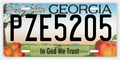 GA license plate PZE5205