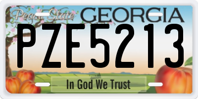 GA license plate PZE5213