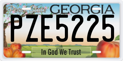GA license plate PZE5225