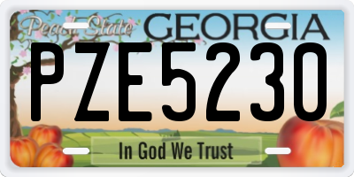 GA license plate PZE5230