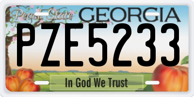 GA license plate PZE5233
