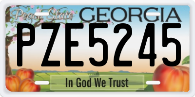 GA license plate PZE5245