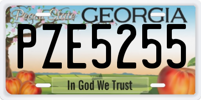 GA license plate PZE5255