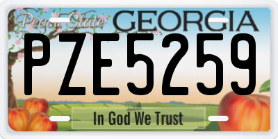 GA license plate PZE5259