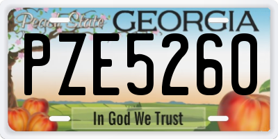 GA license plate PZE5260