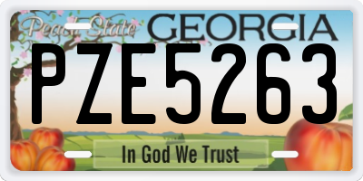 GA license plate PZE5263