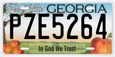 GA license plate PZE5264