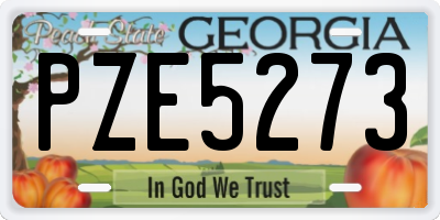 GA license plate PZE5273