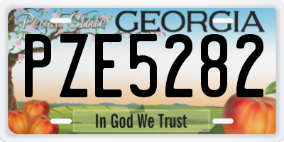 GA license plate PZE5282