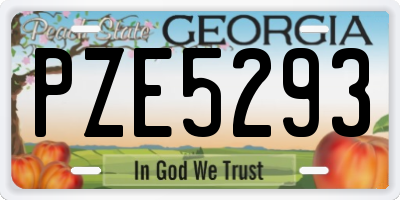 GA license plate PZE5293