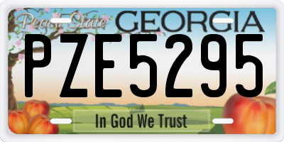 GA license plate PZE5295