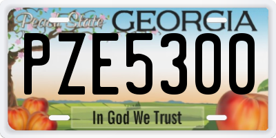 GA license plate PZE5300