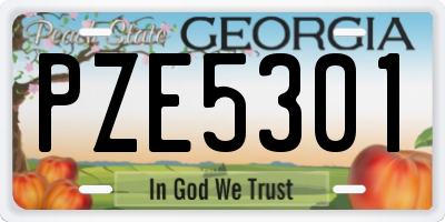 GA license plate PZE5301