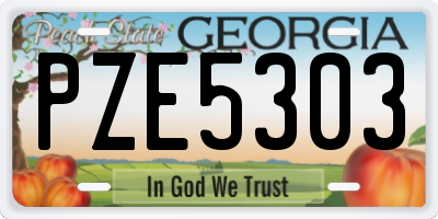 GA license plate PZE5303