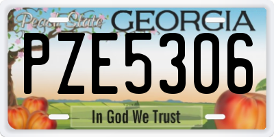 GA license plate PZE5306