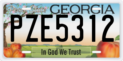 GA license plate PZE5312