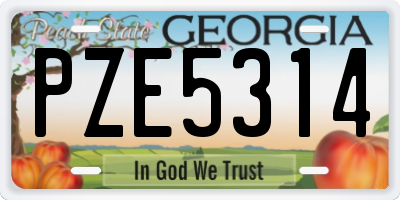 GA license plate PZE5314
