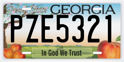 GA license plate PZE5321