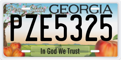 GA license plate PZE5325