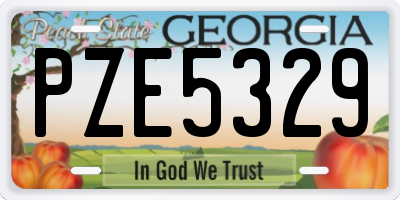 GA license plate PZE5329