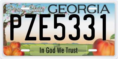 GA license plate PZE5331