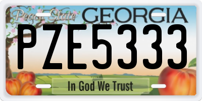 GA license plate PZE5333