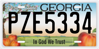 GA license plate PZE5334