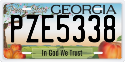 GA license plate PZE5338