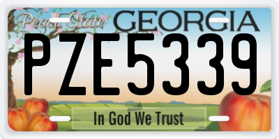 GA license plate PZE5339