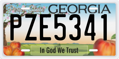 GA license plate PZE5341