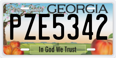 GA license plate PZE5342