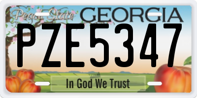 GA license plate PZE5347