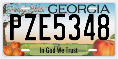 GA license plate PZE5348