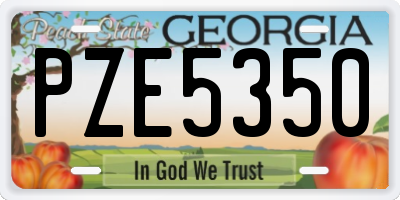 GA license plate PZE5350