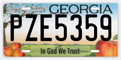 GA license plate PZE5359